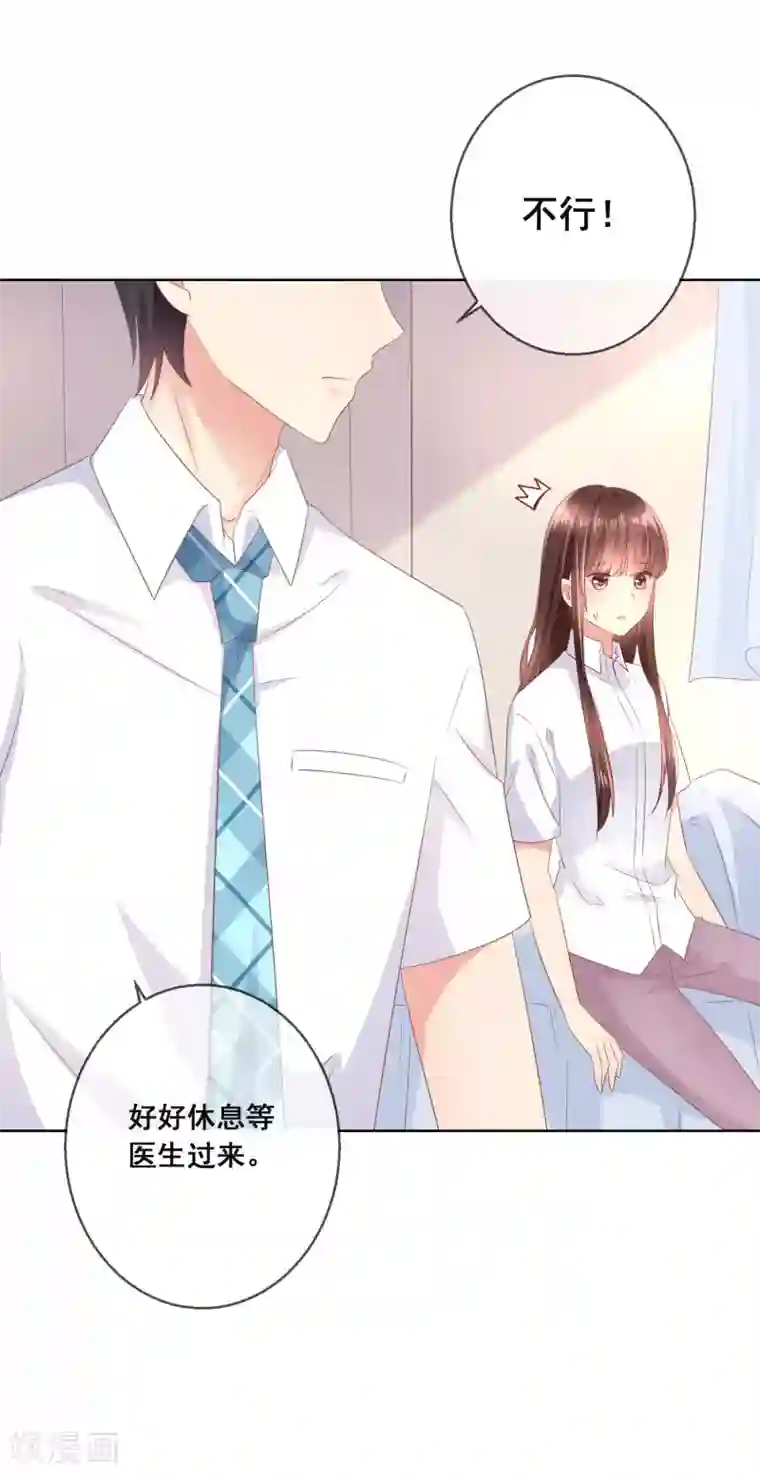 人气同桌是只猫第104话 金丝猫，公孙小姐！