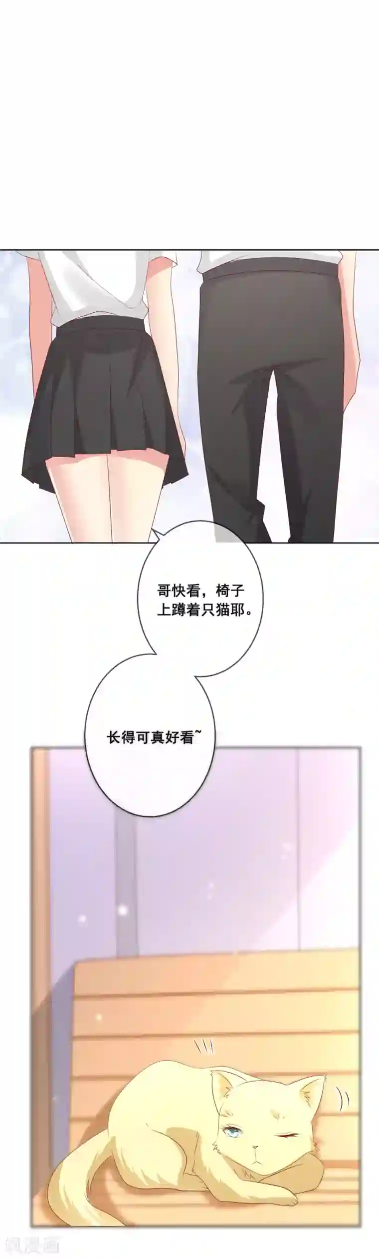 人气同桌是只猫第104话 金丝猫，公孙小姐！