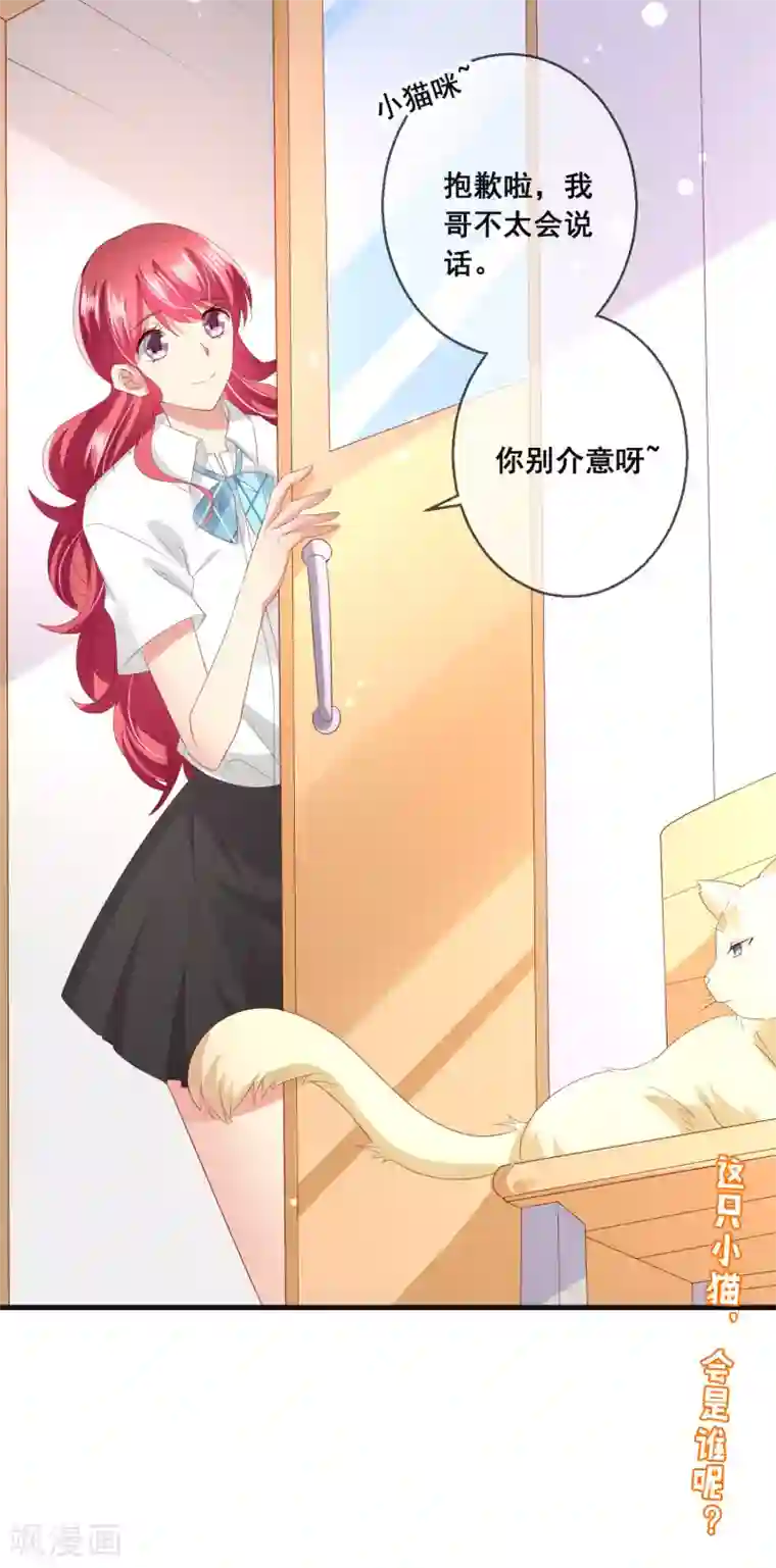 人气同桌是只猫第104话 金丝猫，公孙小姐！