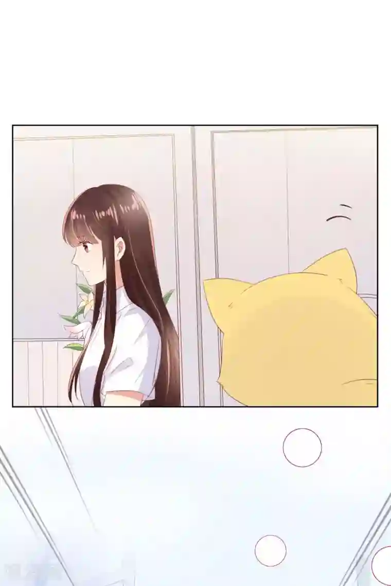 人气同桌是只猫第104话 金丝猫，公孙小姐！