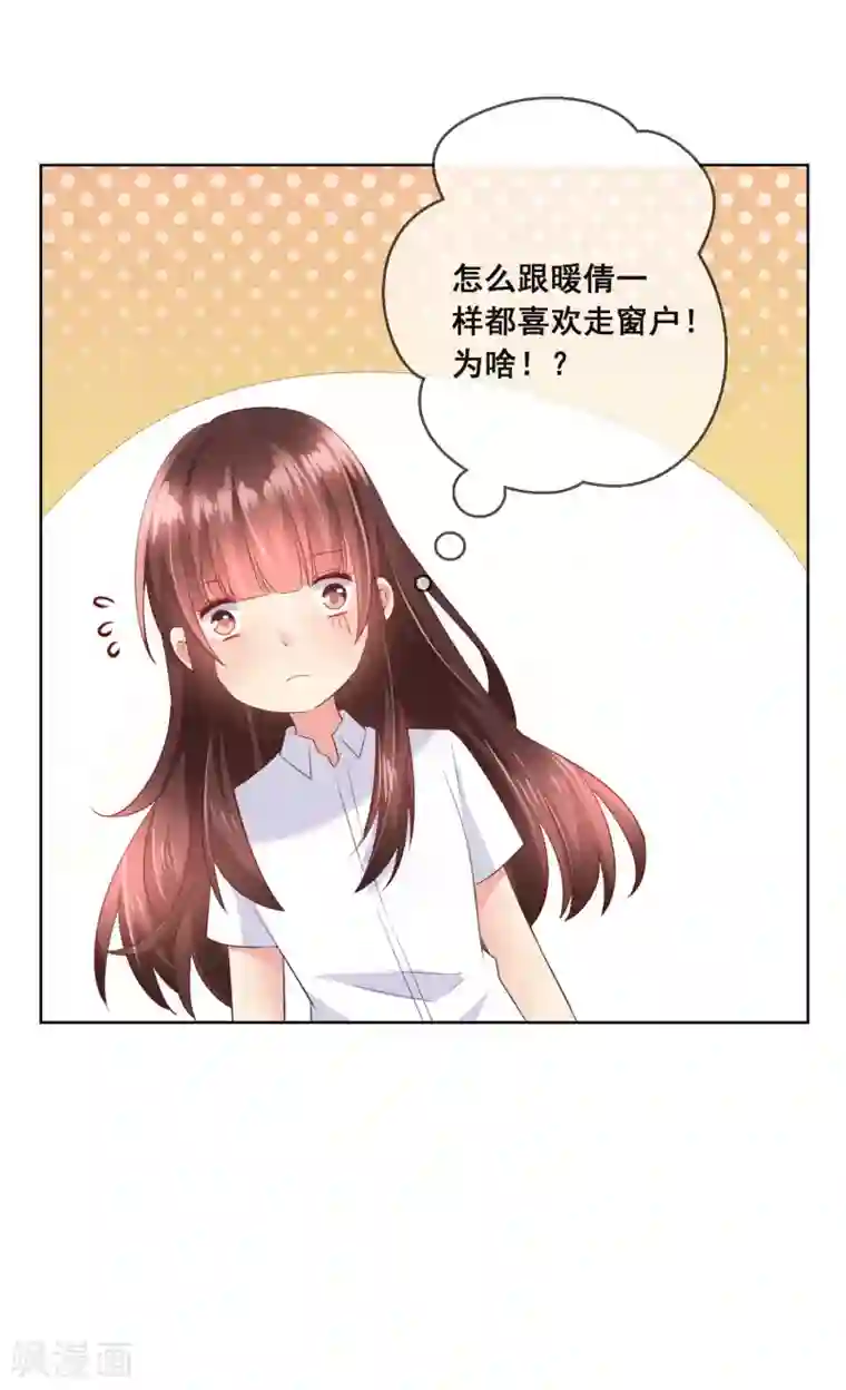 人气同桌是只猫第104话 金丝猫，公孙小姐！