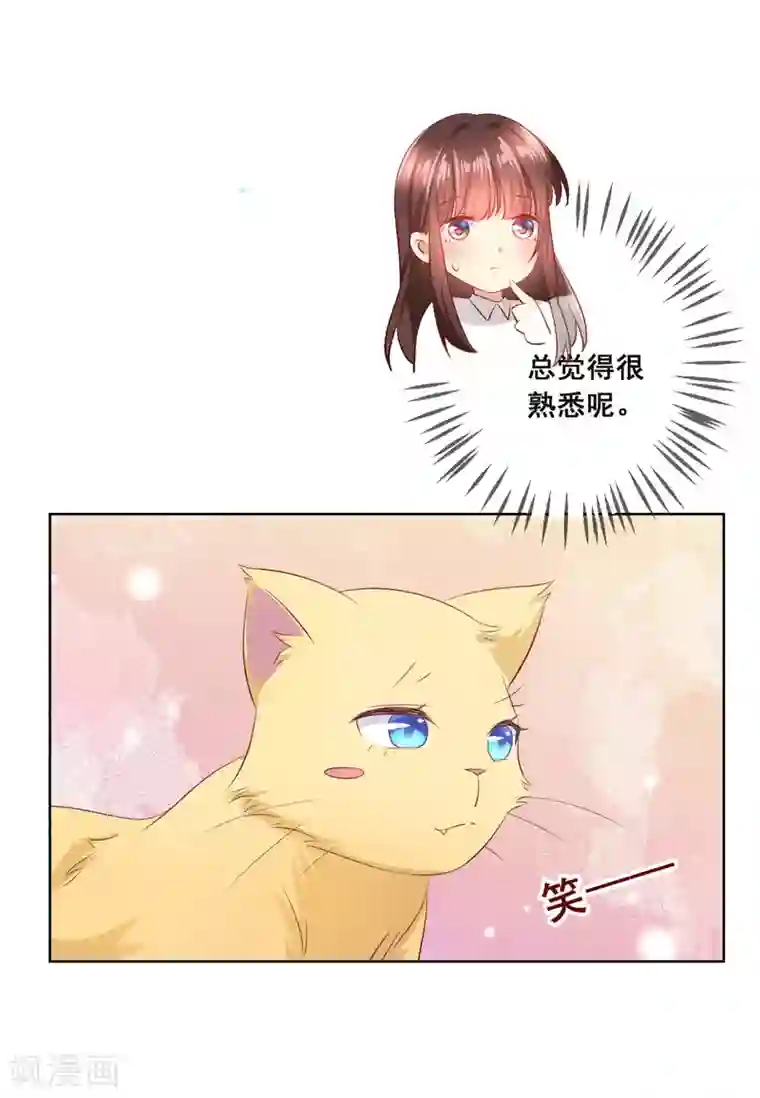 人气同桌是只猫第106话 无法醒来的梦？