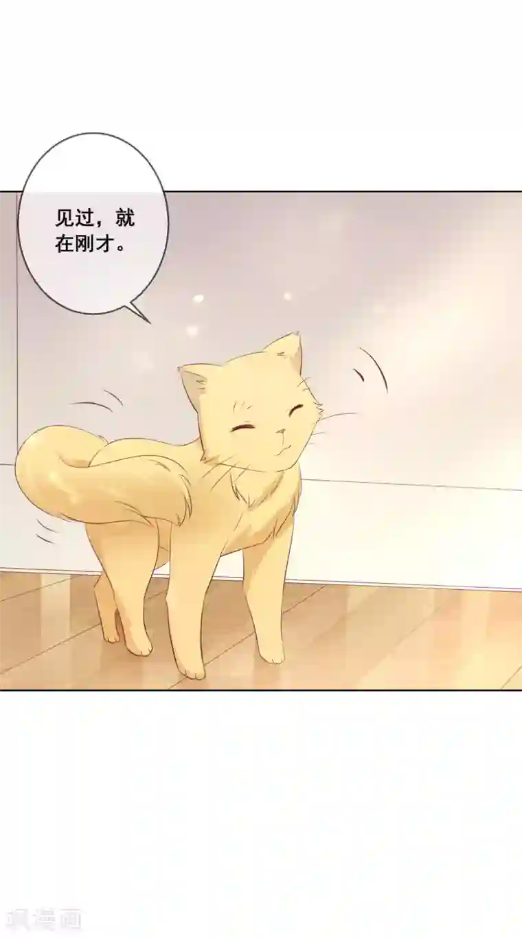 人气同桌是只猫第106话 无法醒来的梦？