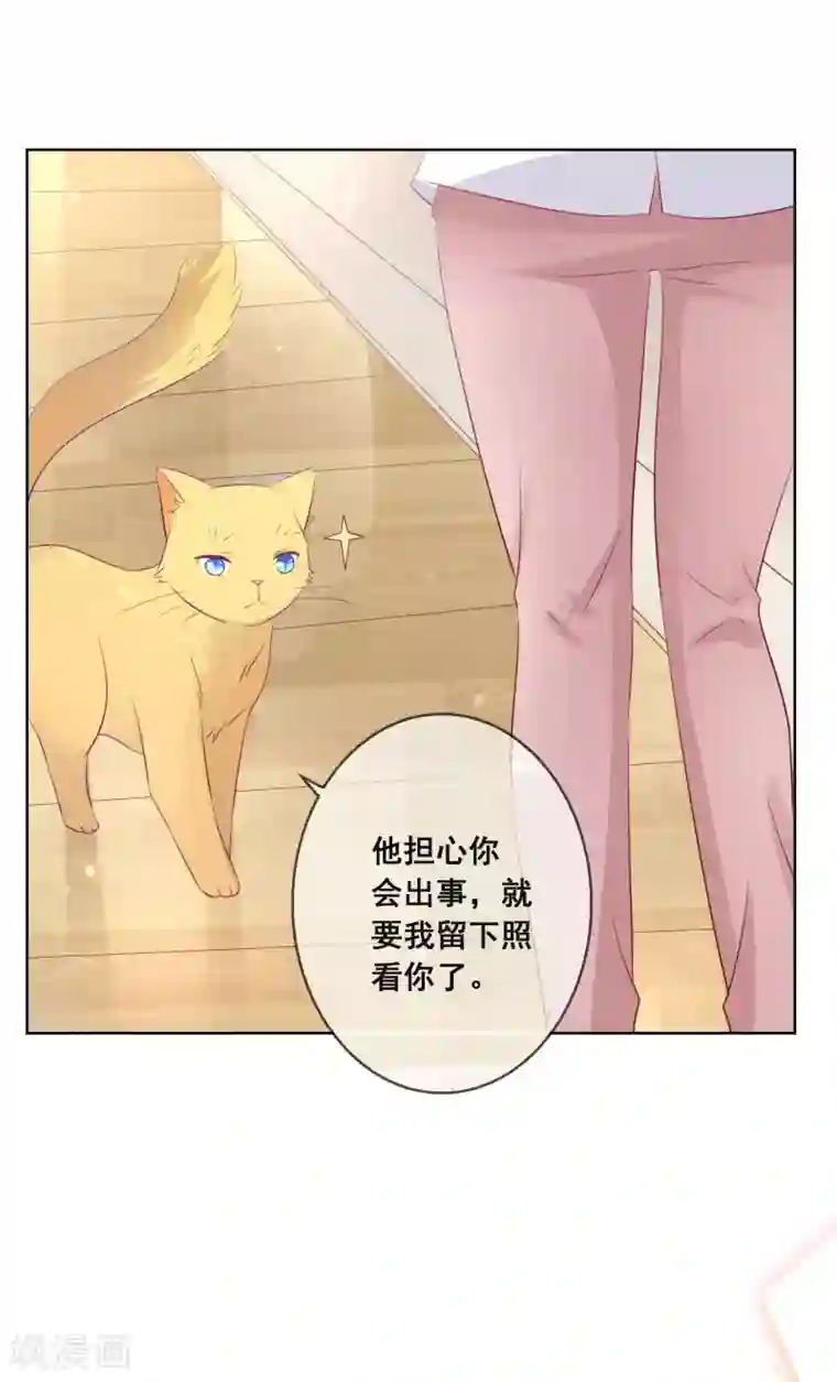 人气同桌是只猫第106话 无法醒来的梦？