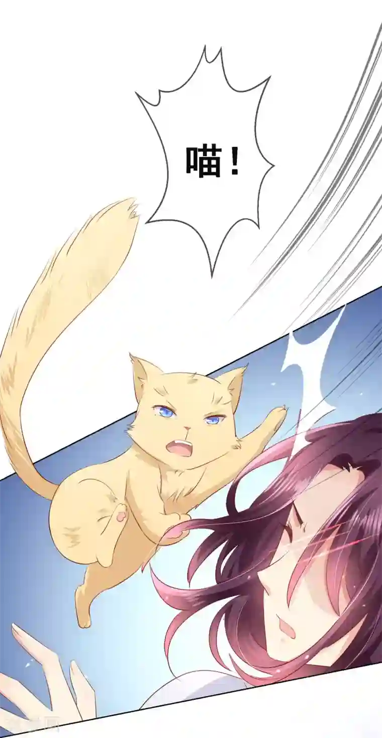 人气同桌是只猫第106话 无法醒来的梦？