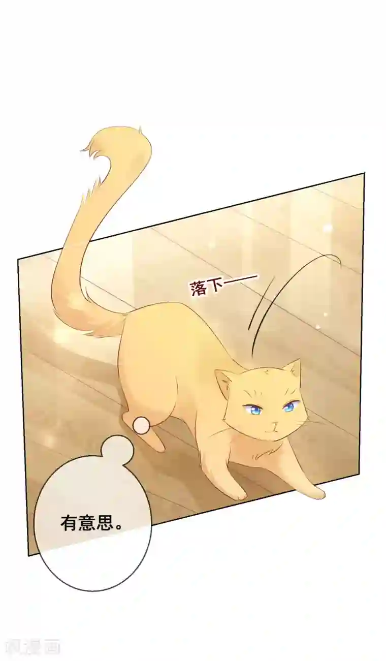 人气同桌是只猫第106话 无法醒来的梦？
