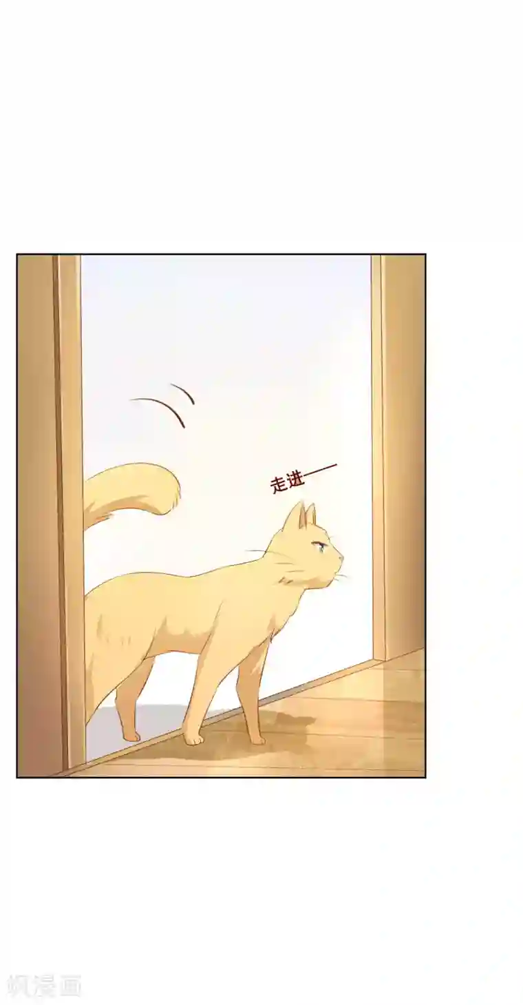 人气同桌是只猫第112话 无故失踪的暖倩妹妹