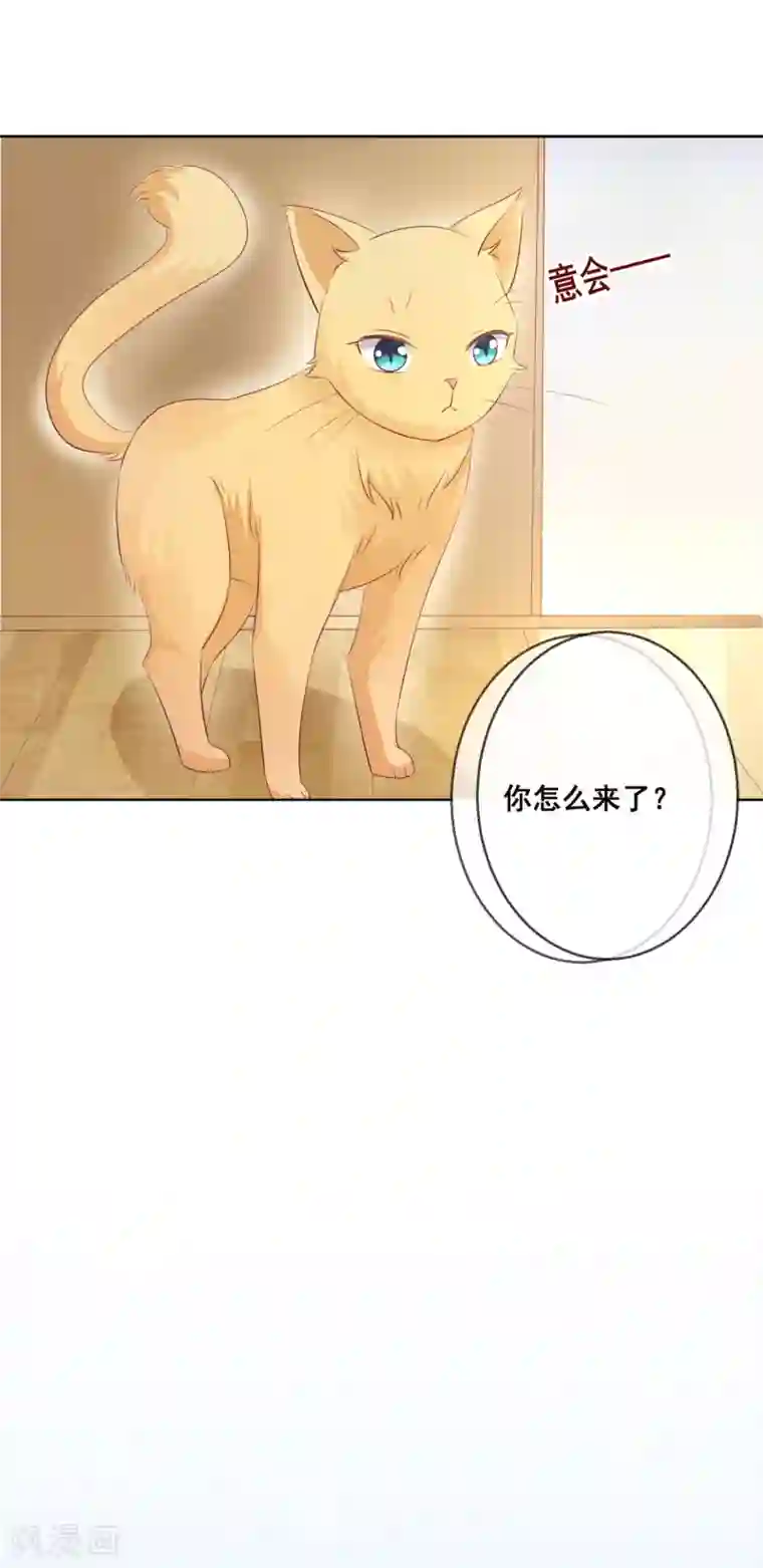 人气同桌是只猫第112话 无故失踪的暖倩妹妹