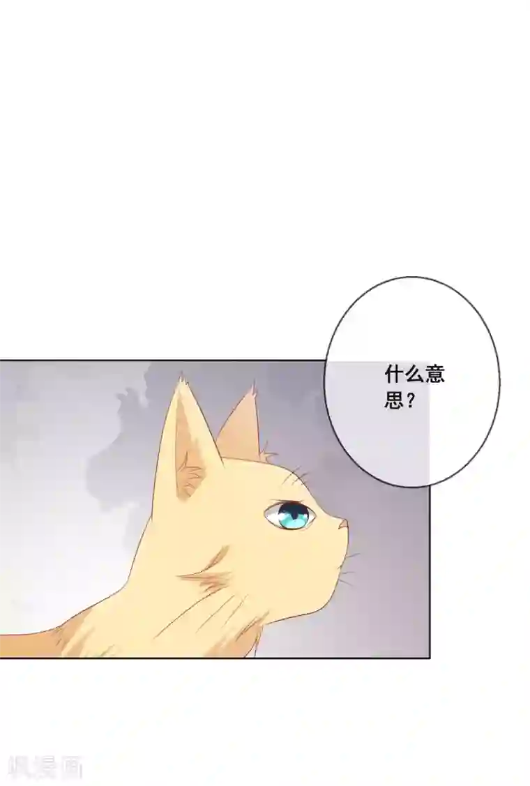 人气同桌是只猫第113话 娃娃亲？！