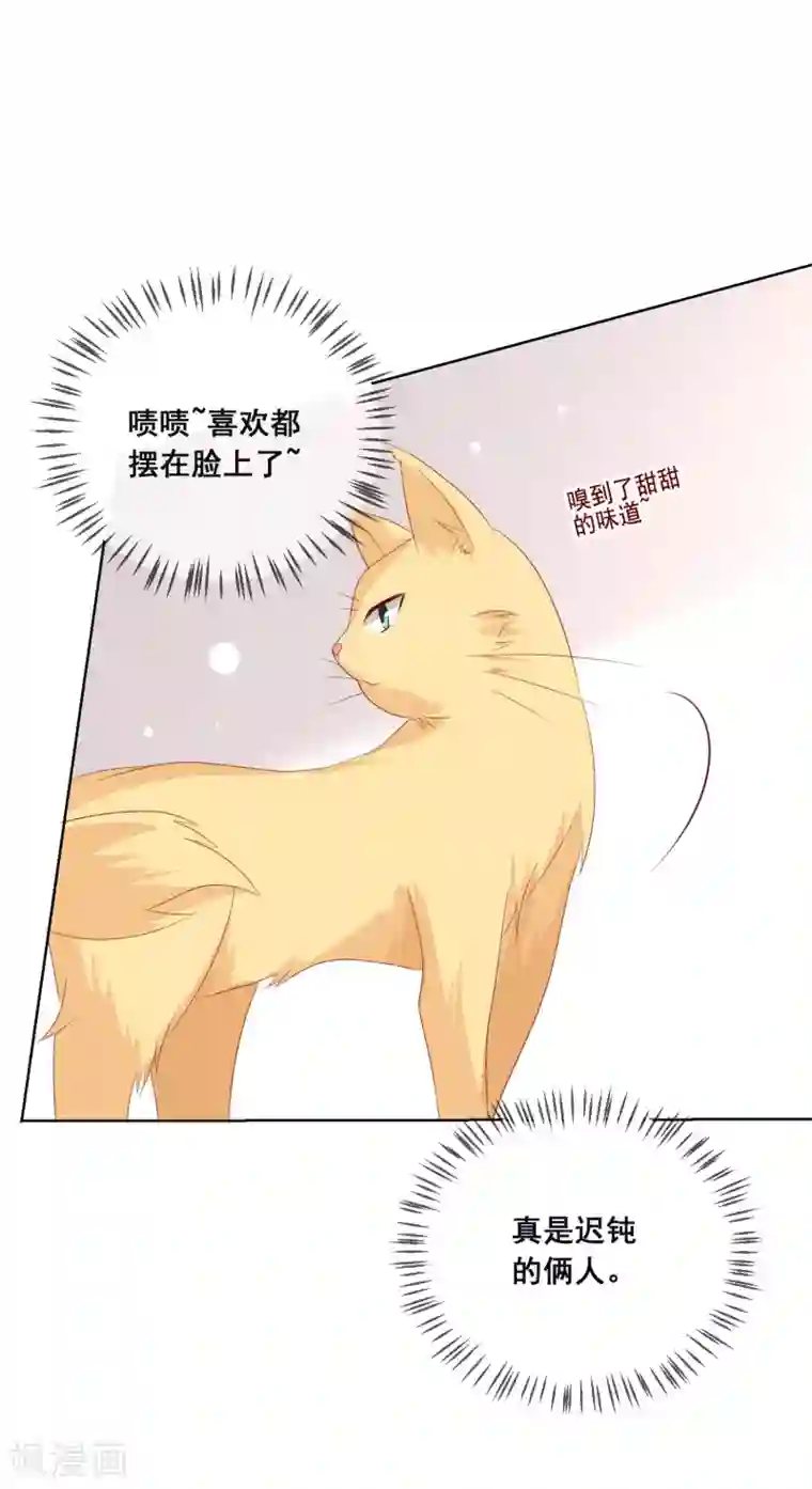 人气同桌是只猫第113话 娃娃亲？！