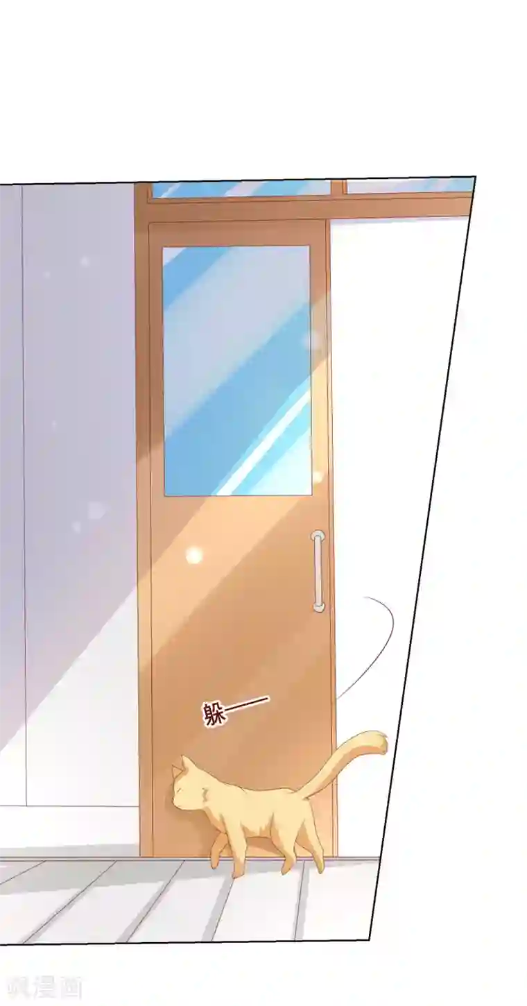 人气同桌是只猫第113话 娃娃亲？！