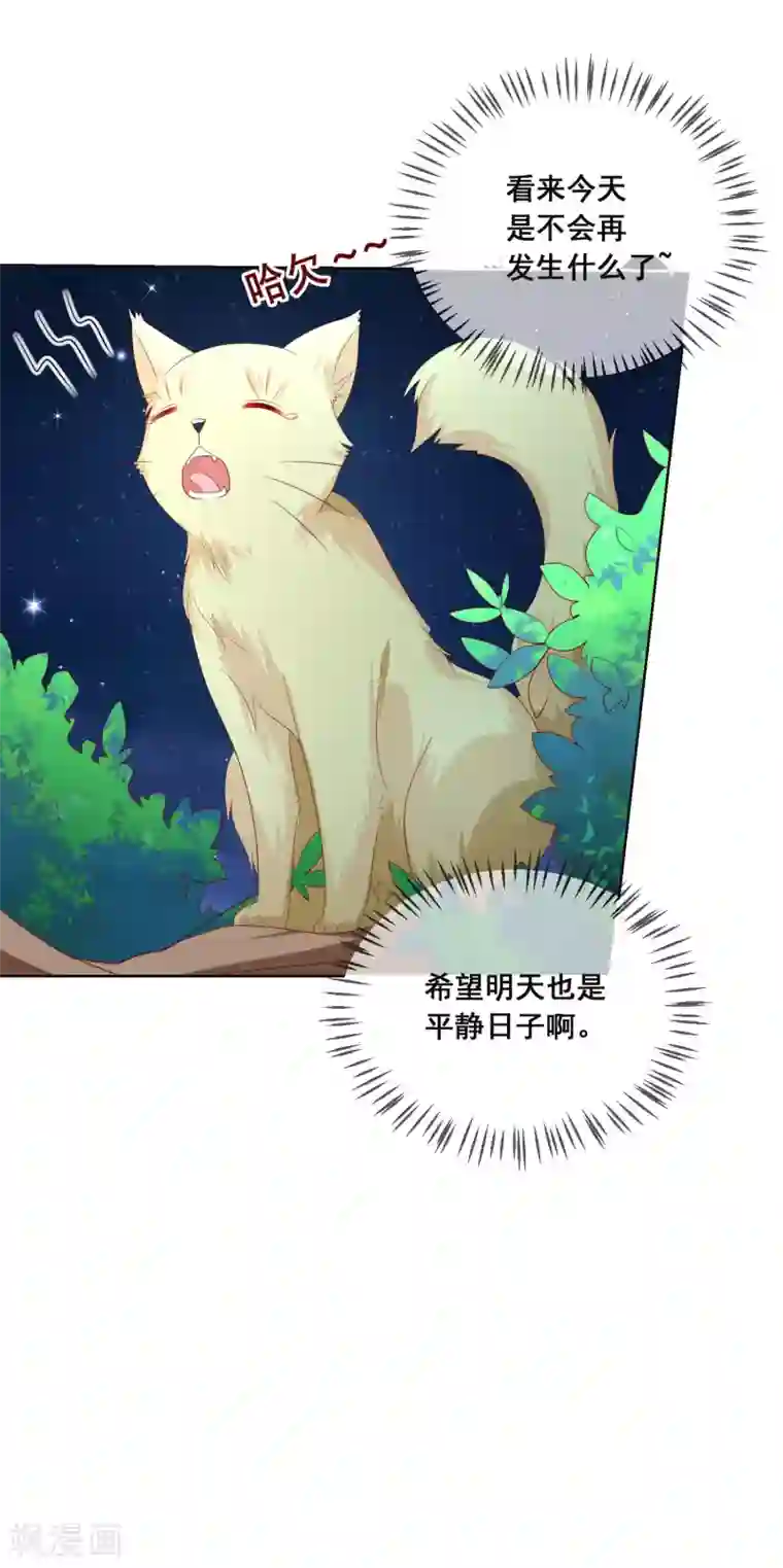 人气同桌是只猫第115话 青梅竹马才更应该在一起