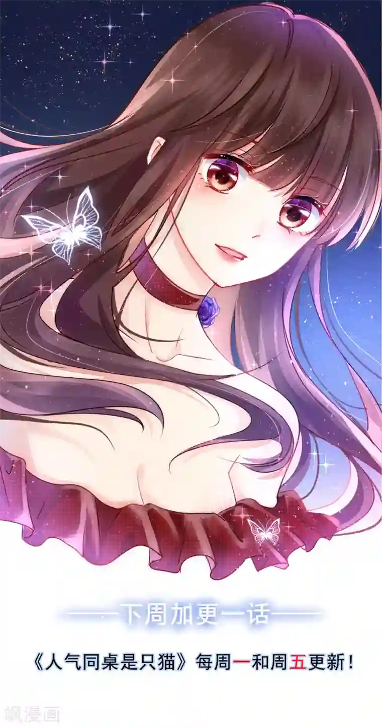 人气同桌是只猫活动公告 猫咪主题笔记本大派送！