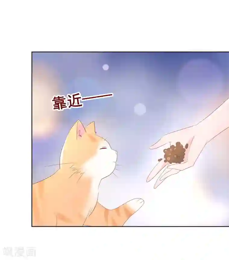 人气同桌是只猫第125话 突如其来的约会