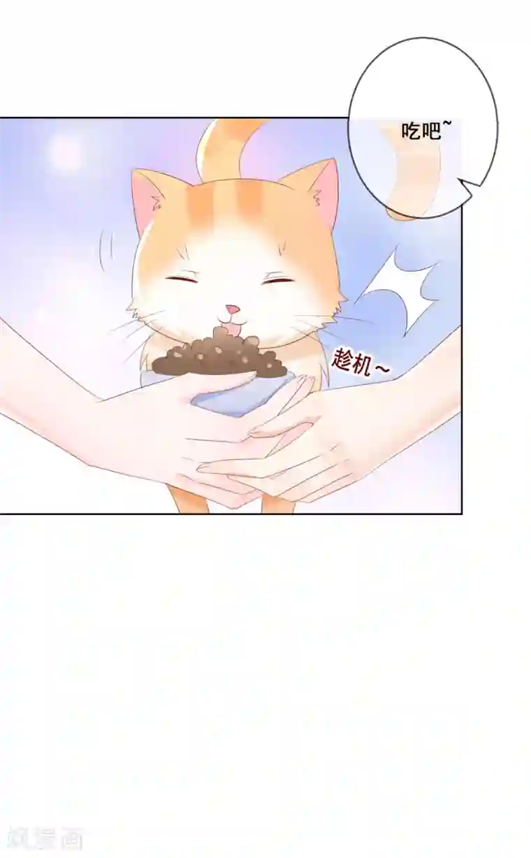 人气同桌是只猫第125话 突如其来的约会