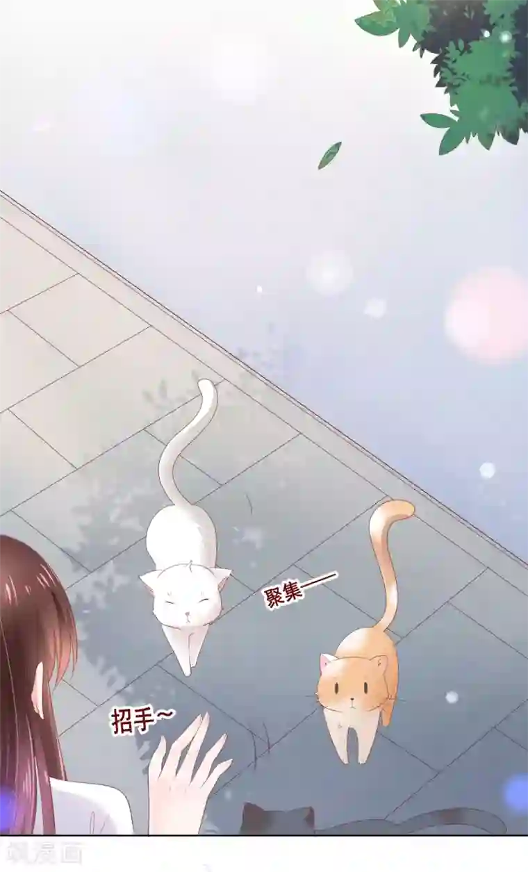 人气同桌是只猫第125话 突如其来的约会