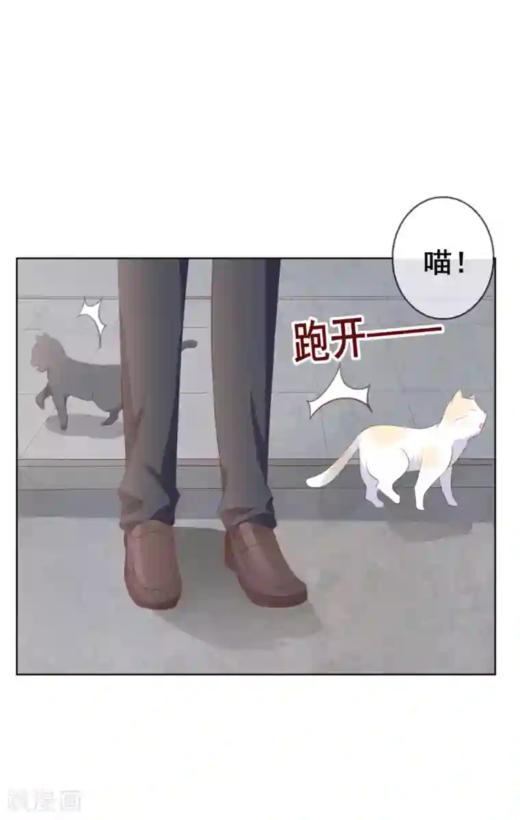 人气同桌是只猫第126话 付同学的手，好暖……