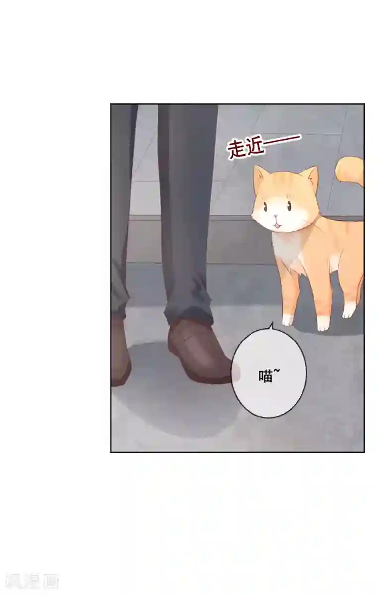 人气同桌是只猫第126话 付同学的手，好暖……