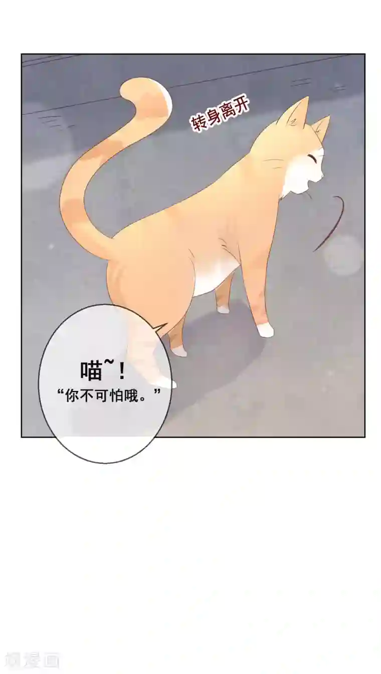 人气同桌是只猫第126话 付同学的手，好暖……