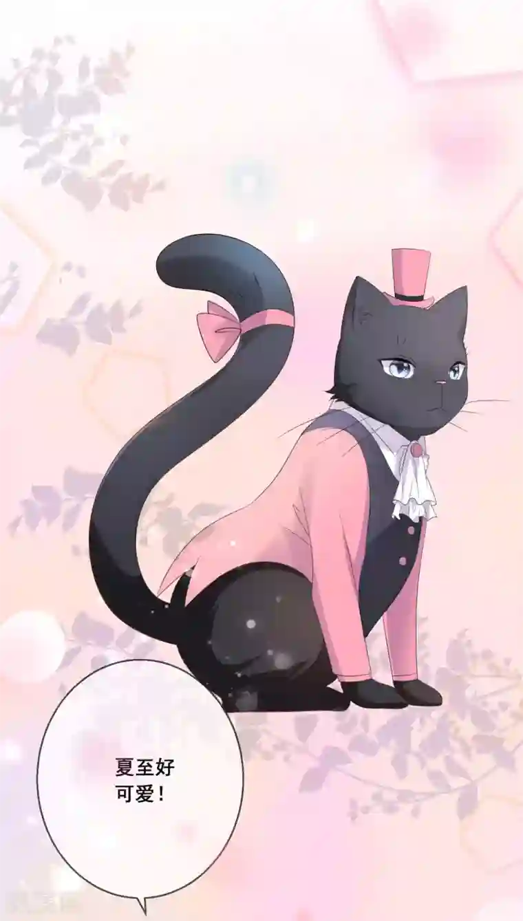 人气同桌是只猫第129话 舞会上的衣服