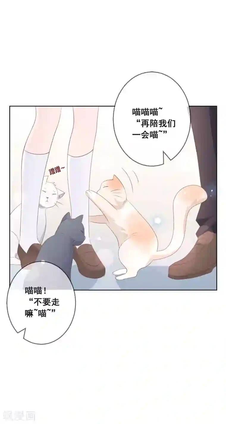 人气同桌是只猫第133话 想要变成猫