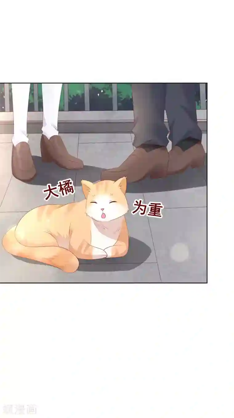 人气同桌是只猫第133话 想要变成猫