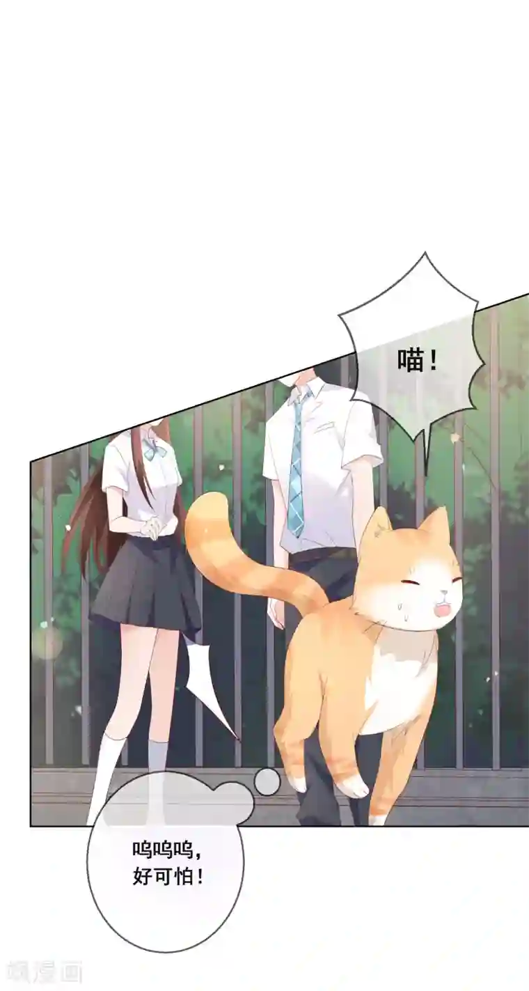 人气同桌是只猫第133话 想要变成猫