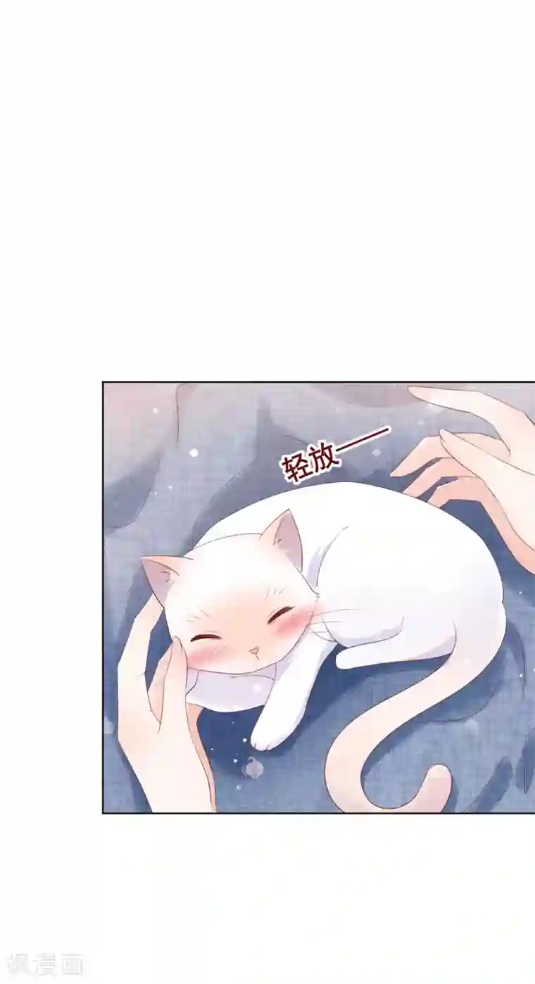 人气同桌是只猫第134话 我想要变成你的猫咪！