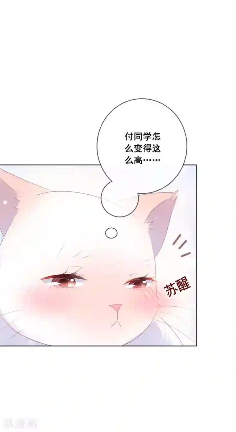 人气同桌是只猫第134话 我想要变成你的猫咪！