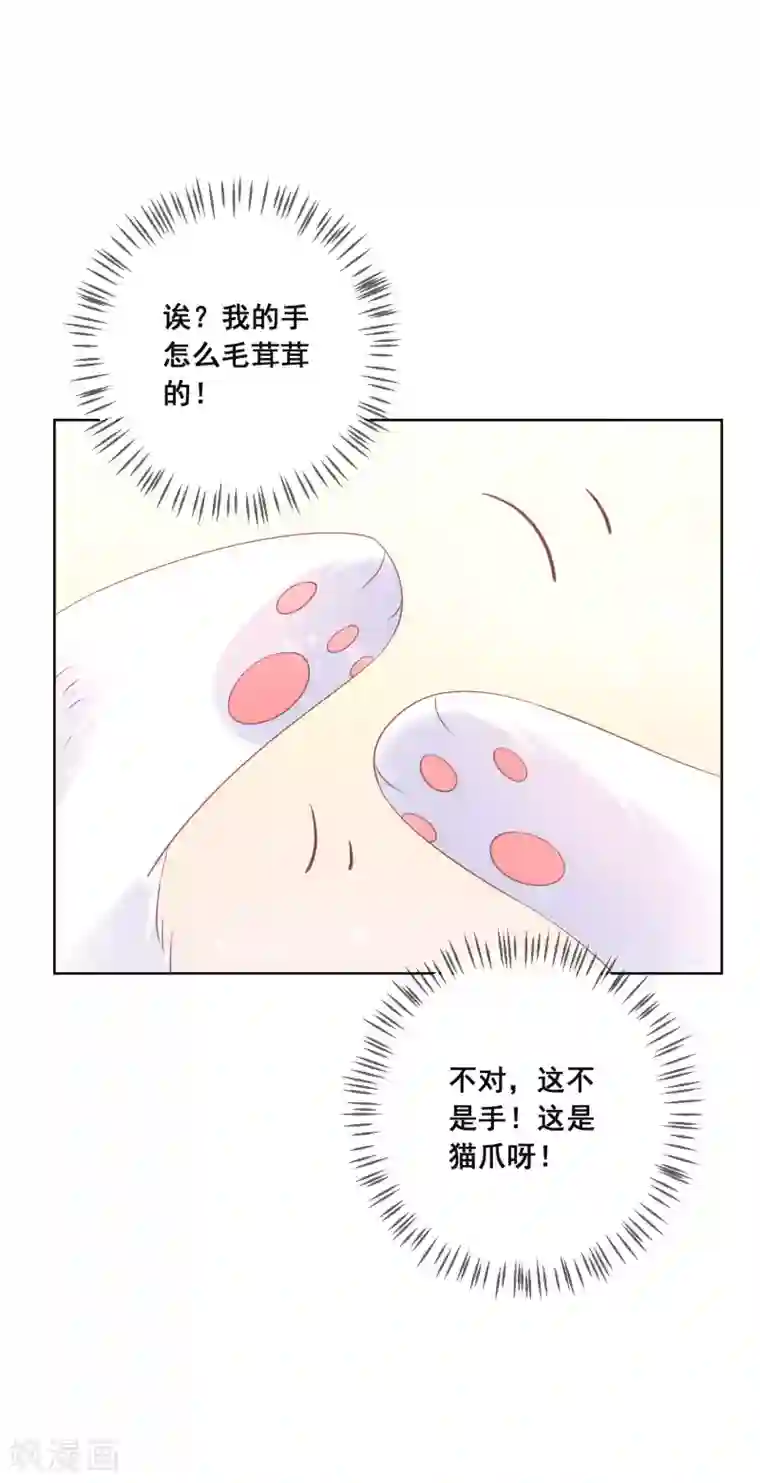 人气同桌是只猫第134话 我想要变成你的猫咪！