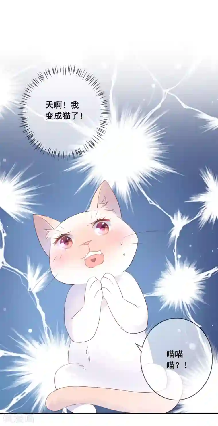 人气同桌是只猫第134话 我想要变成你的猫咪！