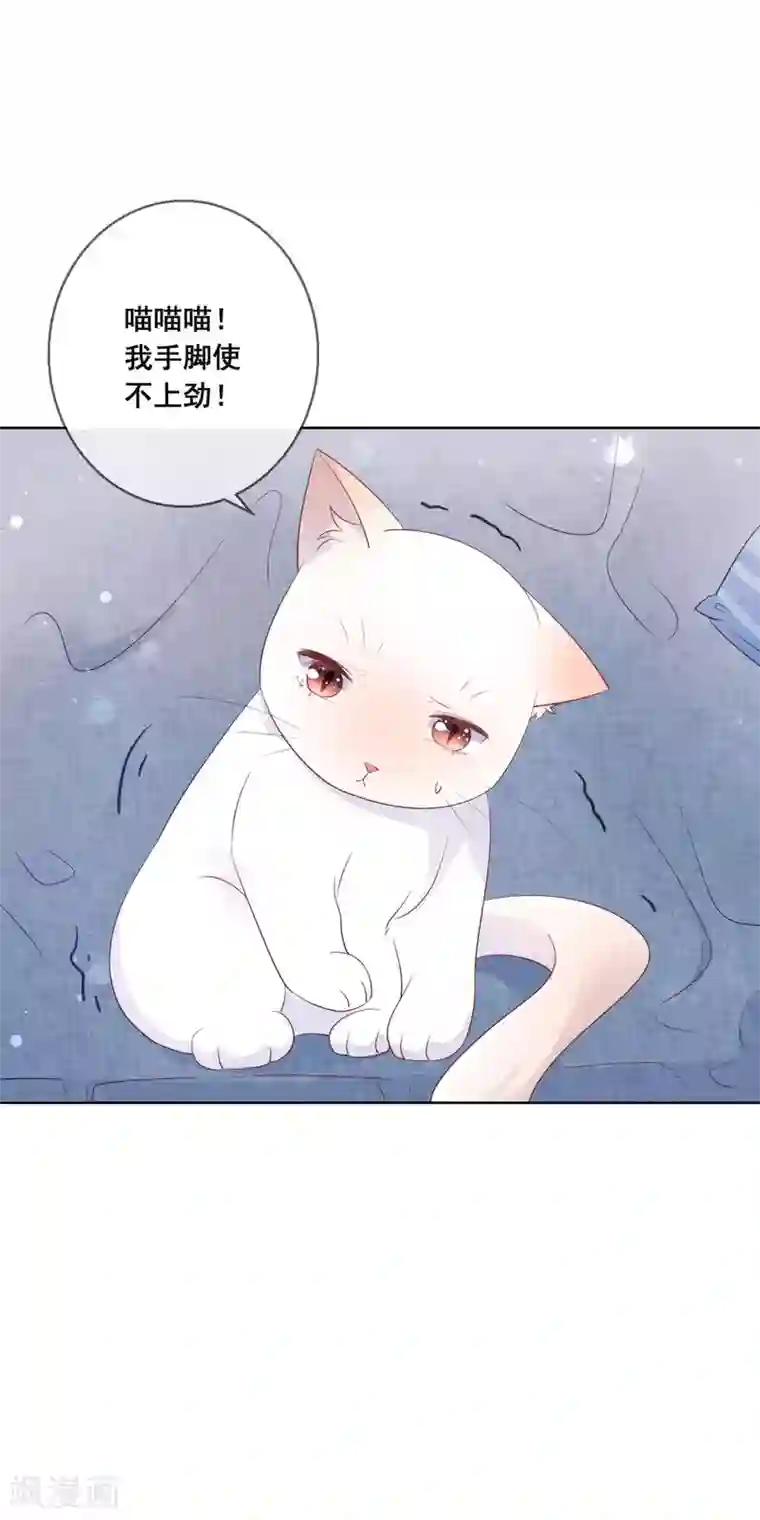 人气同桌是只猫第134话 我想要变成你的猫咪！