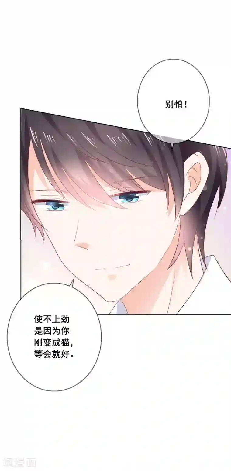 人气同桌是只猫第135话 今天住在男神家