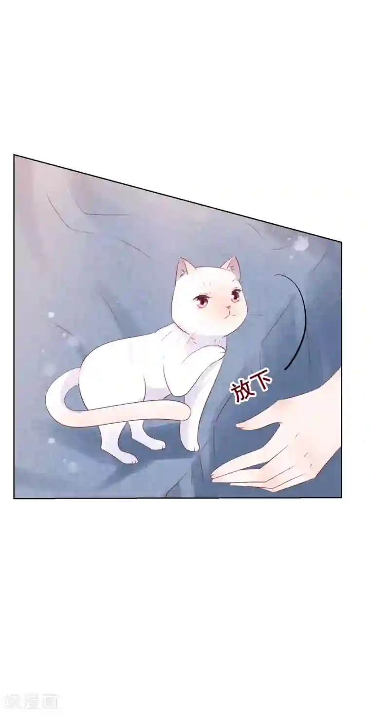 人气同桌是只猫第135话 今天住在男神家