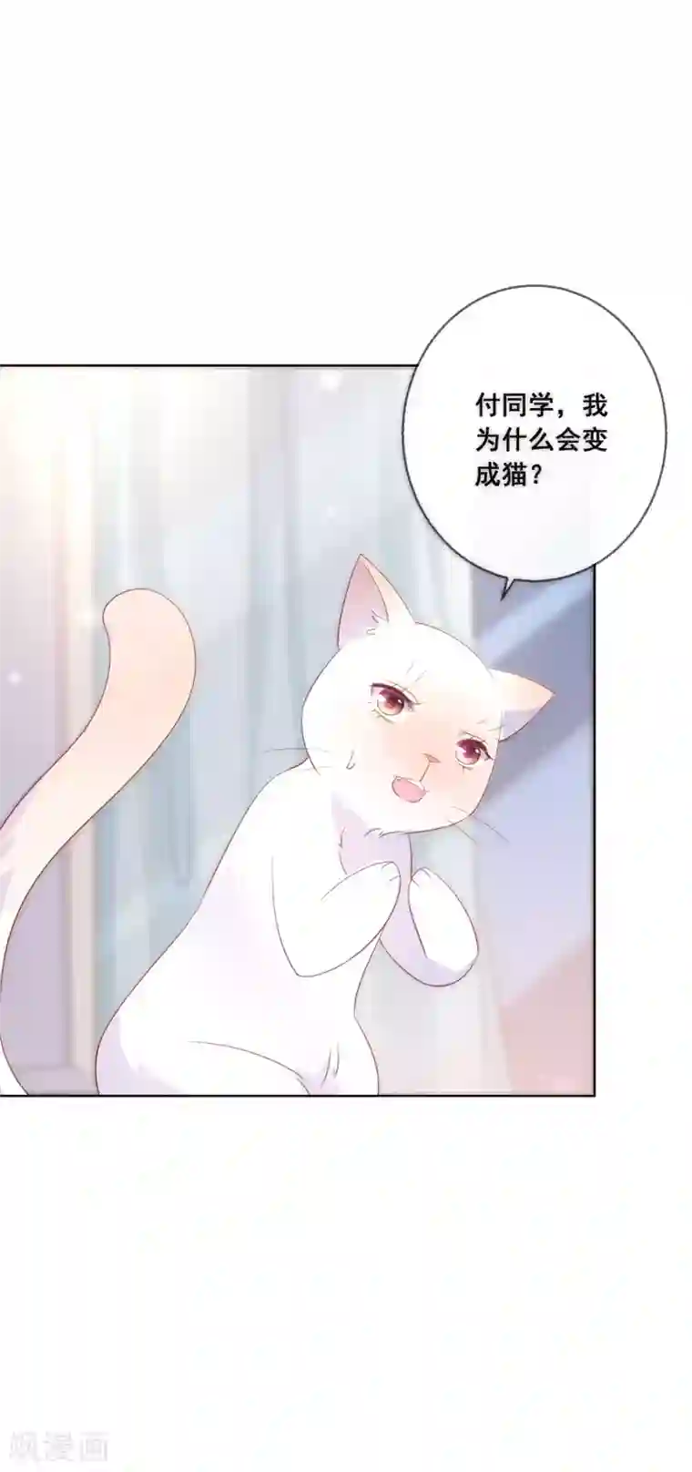 人气同桌是只猫第135话 今天住在男神家
