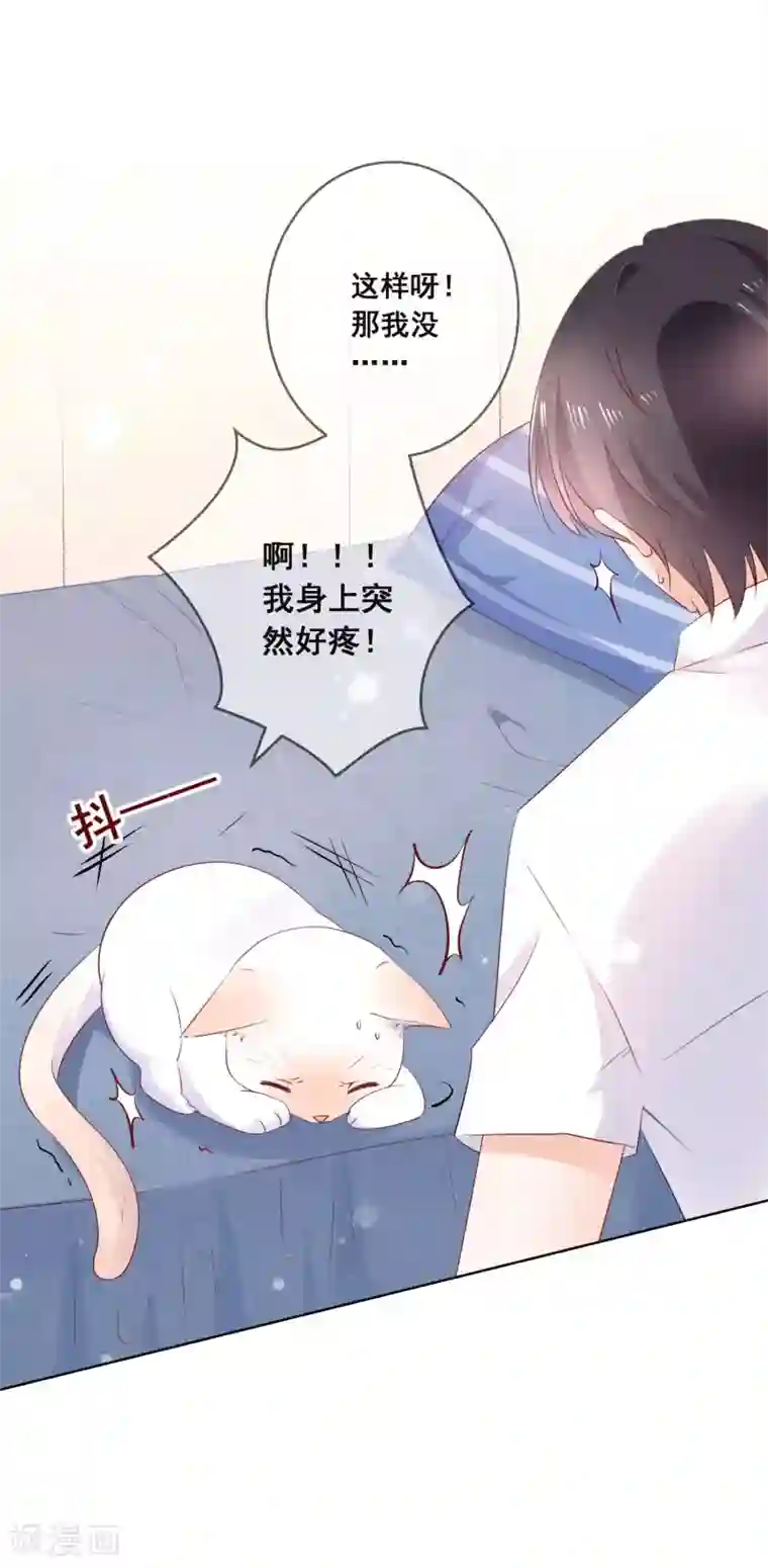 人气同桌是只猫第135话 今天住在男神家