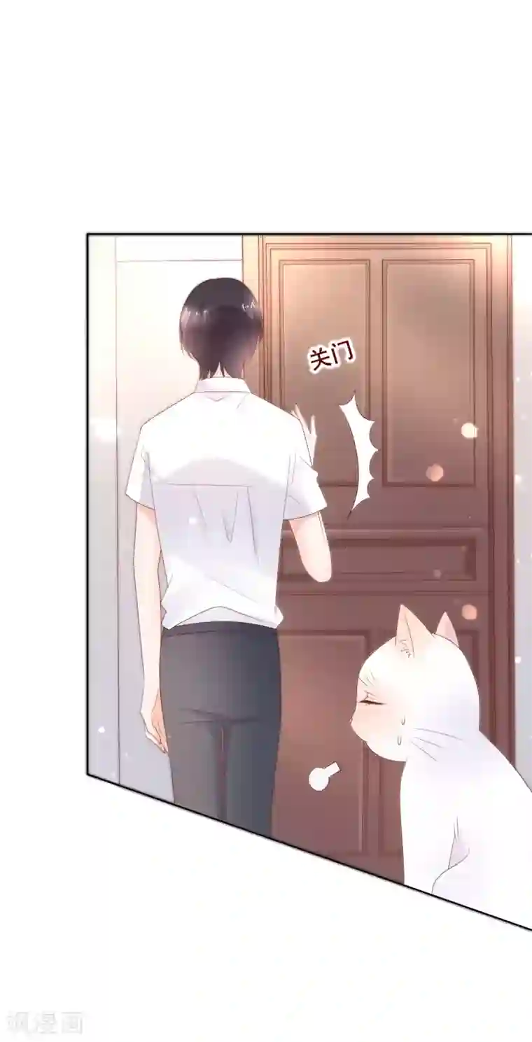 人气同桌是只猫第135话 今天住在男神家