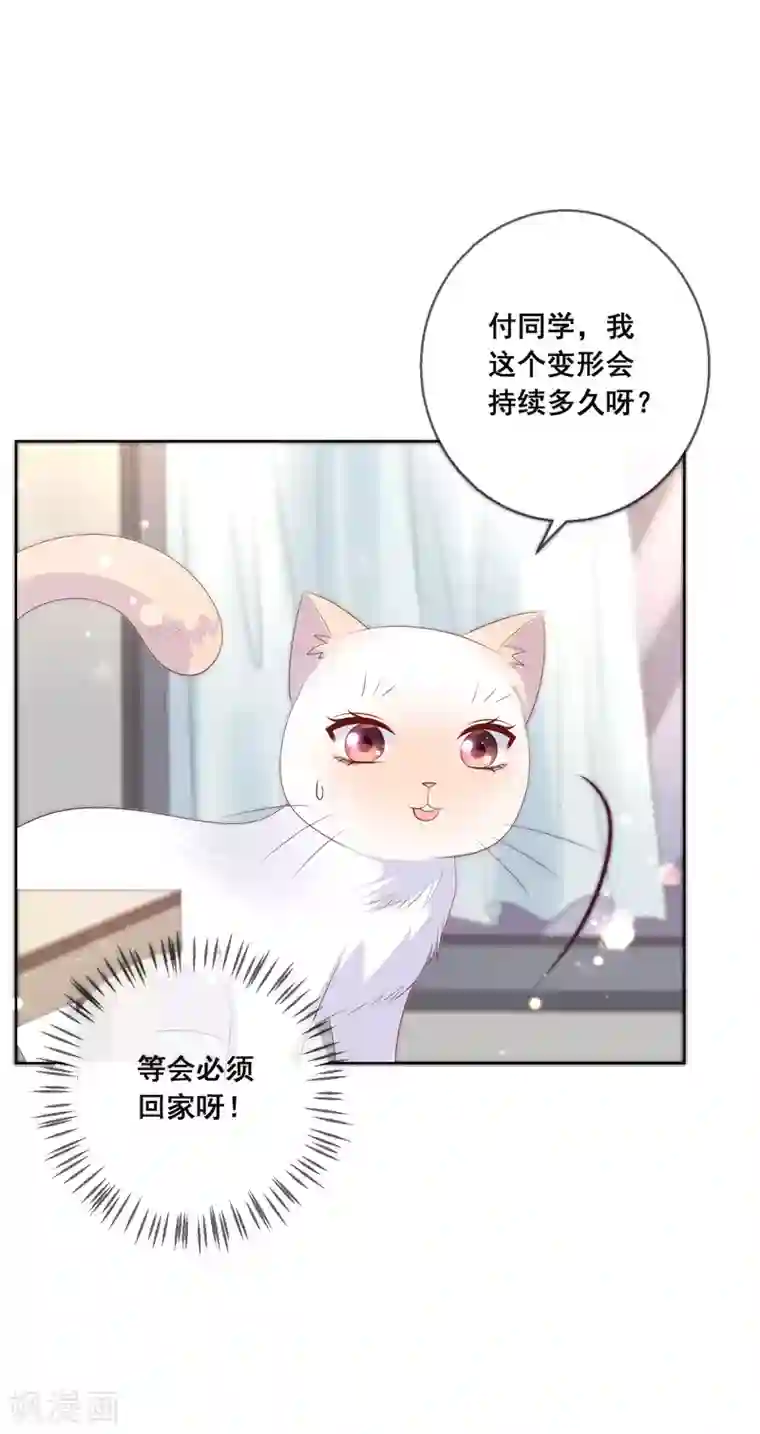 人气同桌是只猫第135话 今天住在男神家