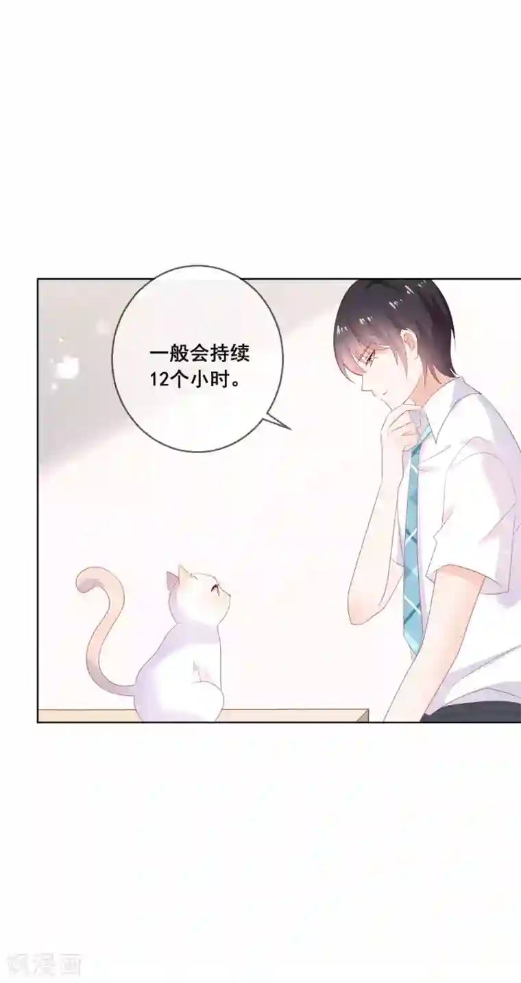 人气同桌是只猫第135话 今天住在男神家