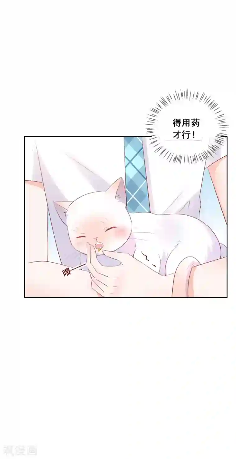 人气同桌是只猫第135话 今天住在男神家