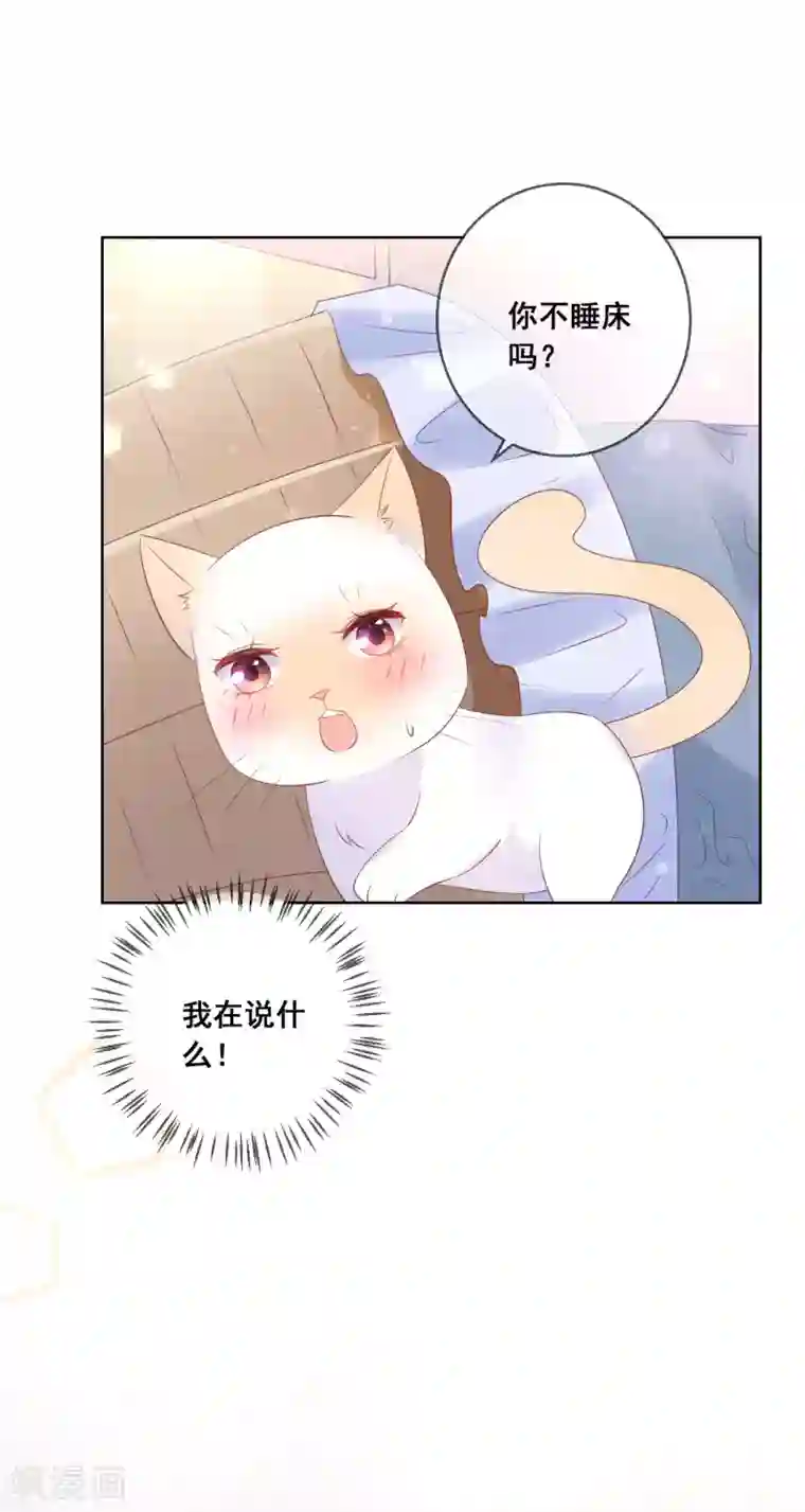 人气同桌是只猫第137话 抱紧我