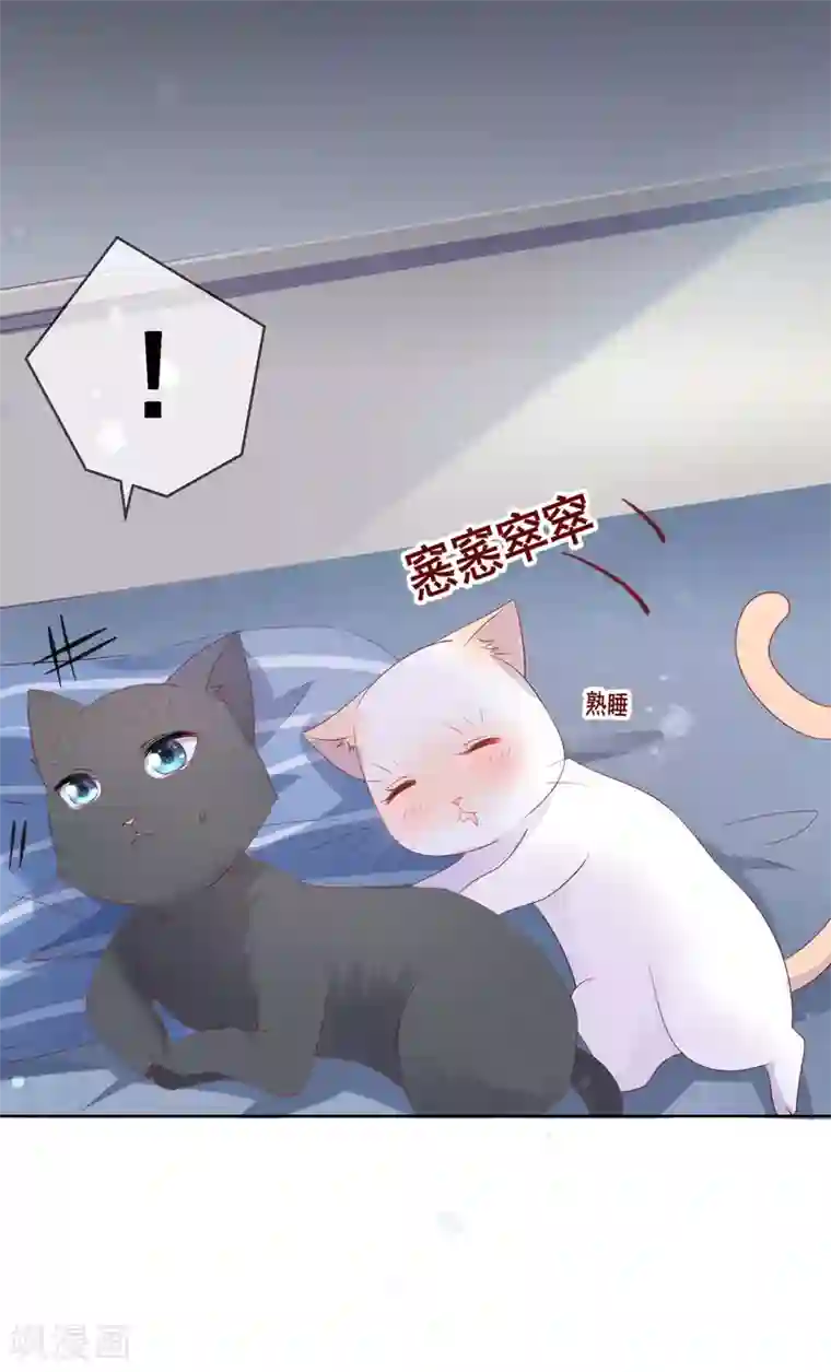 人气同桌是只猫第137话 抱紧我