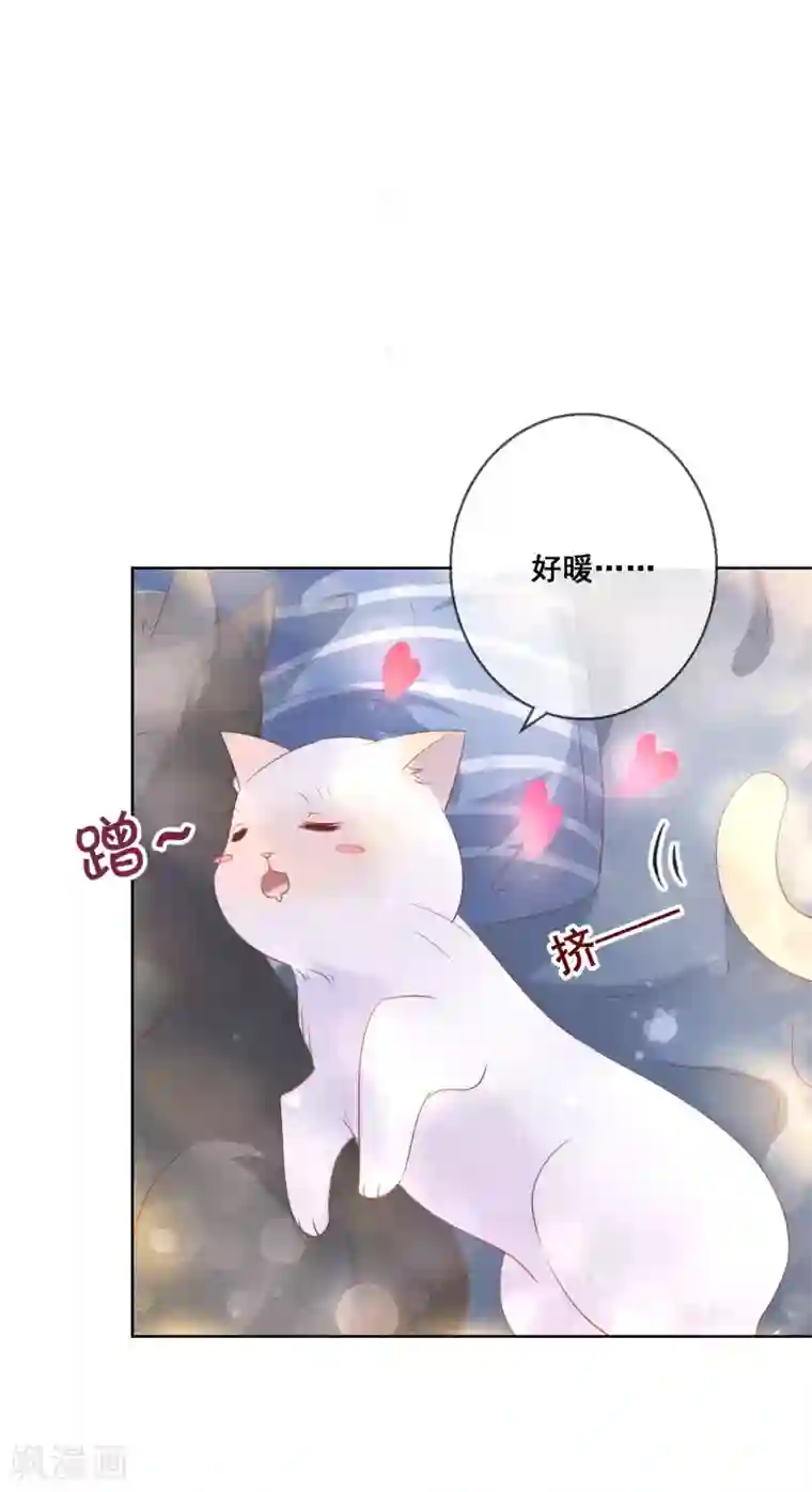 人气同桌是只猫第137话 抱紧我
