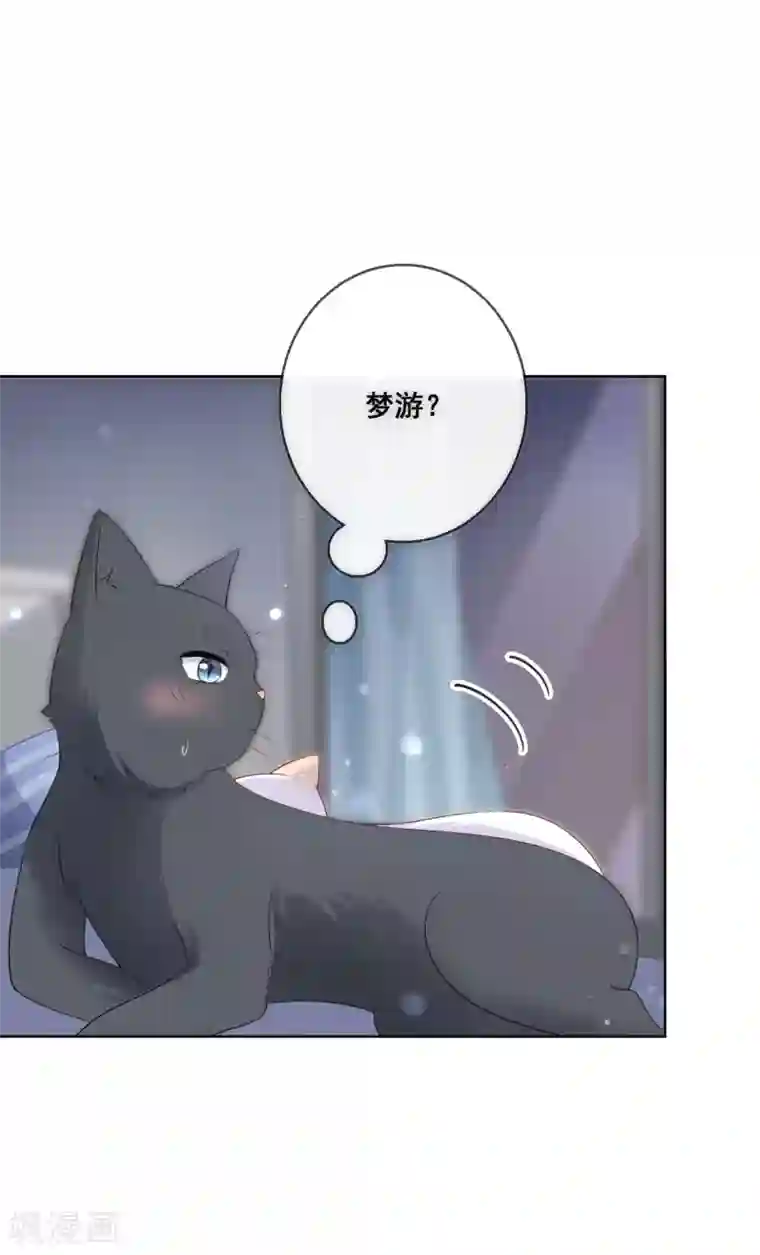 人气同桌是只猫第137话 抱紧我