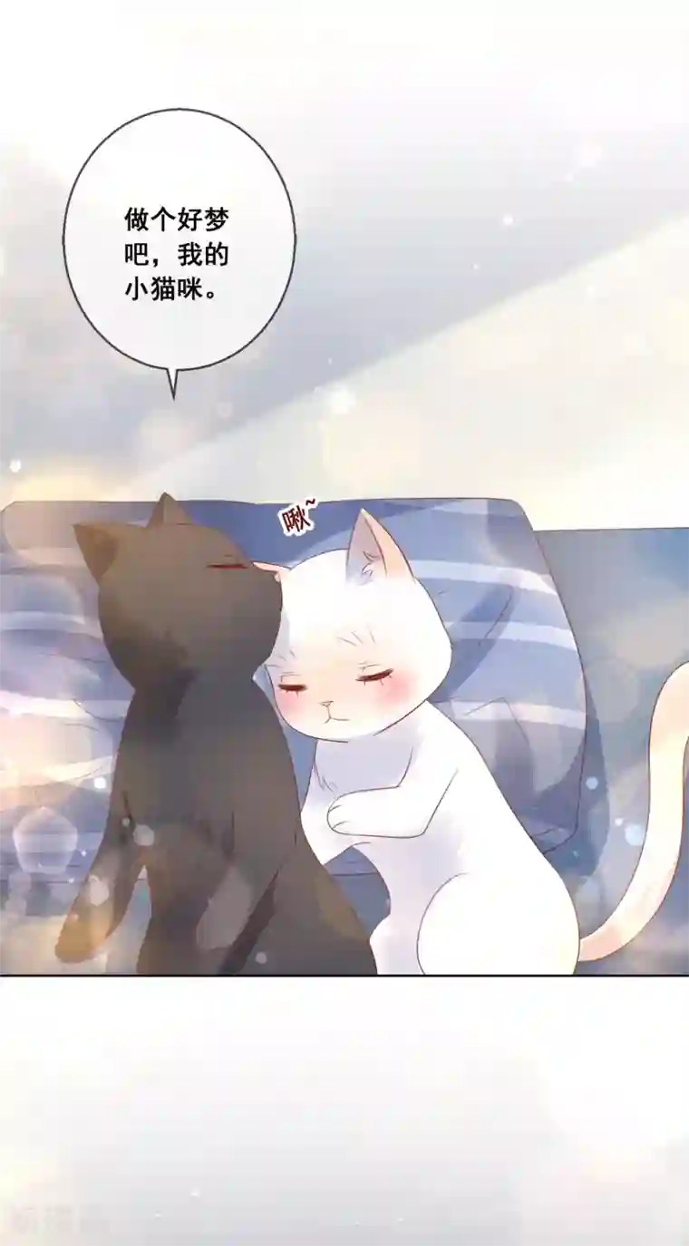 人气同桌是只猫第137话 抱紧我