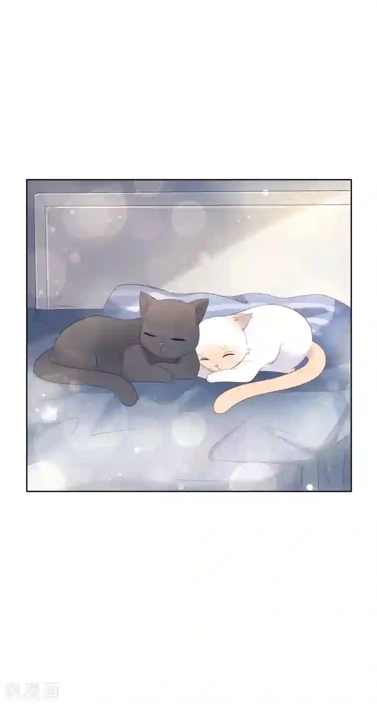 人气同桌是只猫第137话 抱紧我