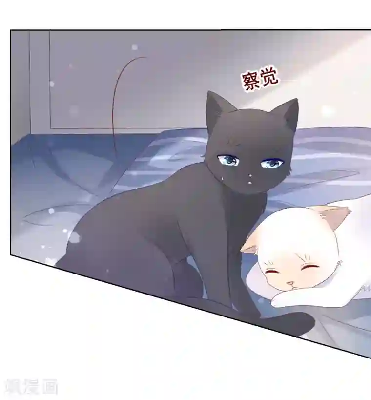 人气同桌是只猫第137话 抱紧我