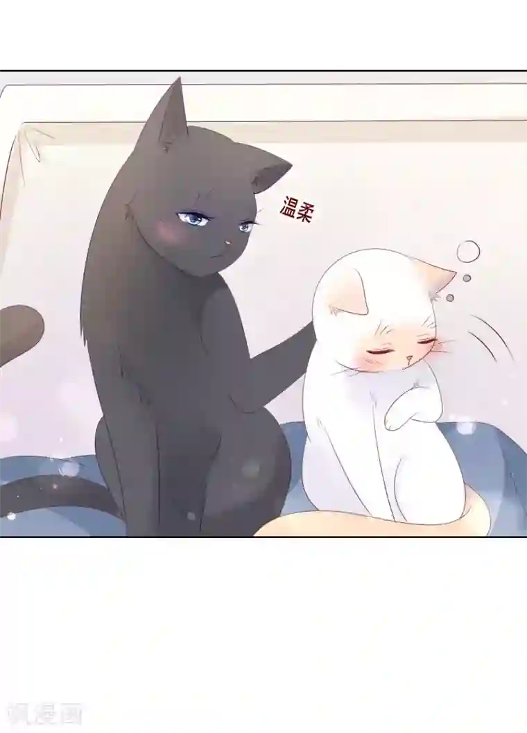 人气同桌是只猫第137话 抱紧我