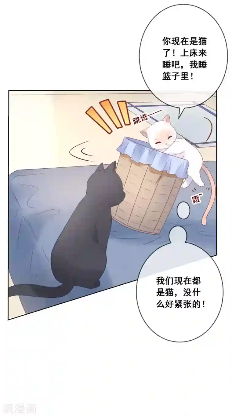 人气同桌是只猫第137话 抱紧我