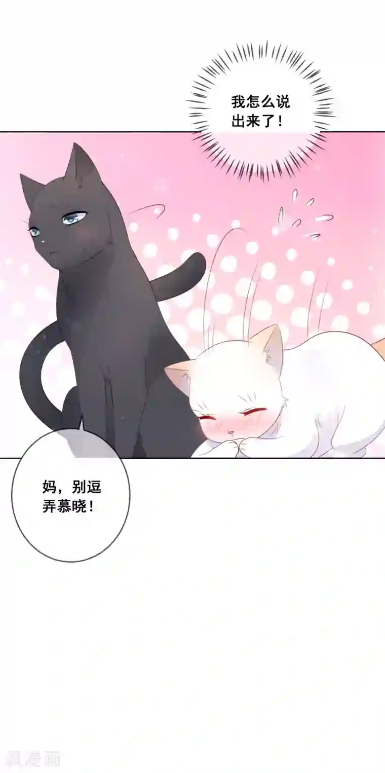 人气同桌是只猫第138话 我怎么变小了？！